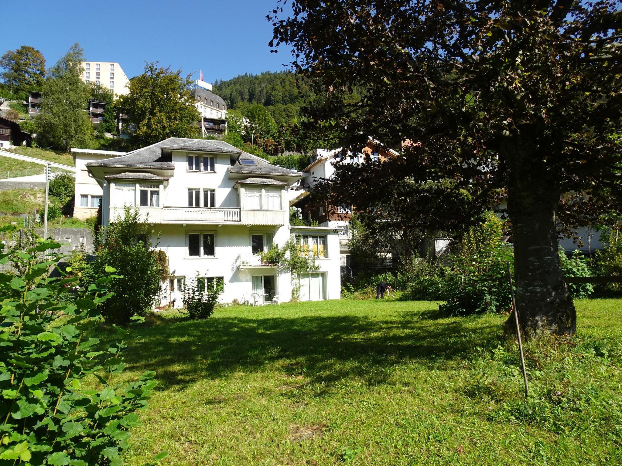 Bergfried - billede 3