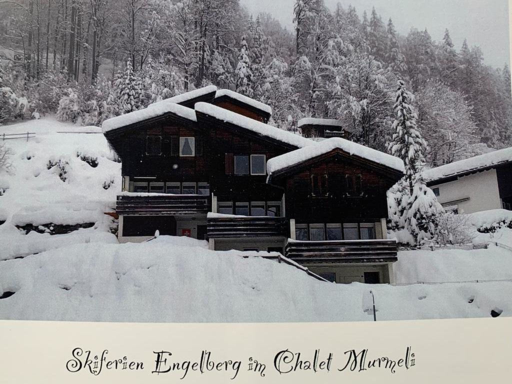Chalet Murmeli - billede 2