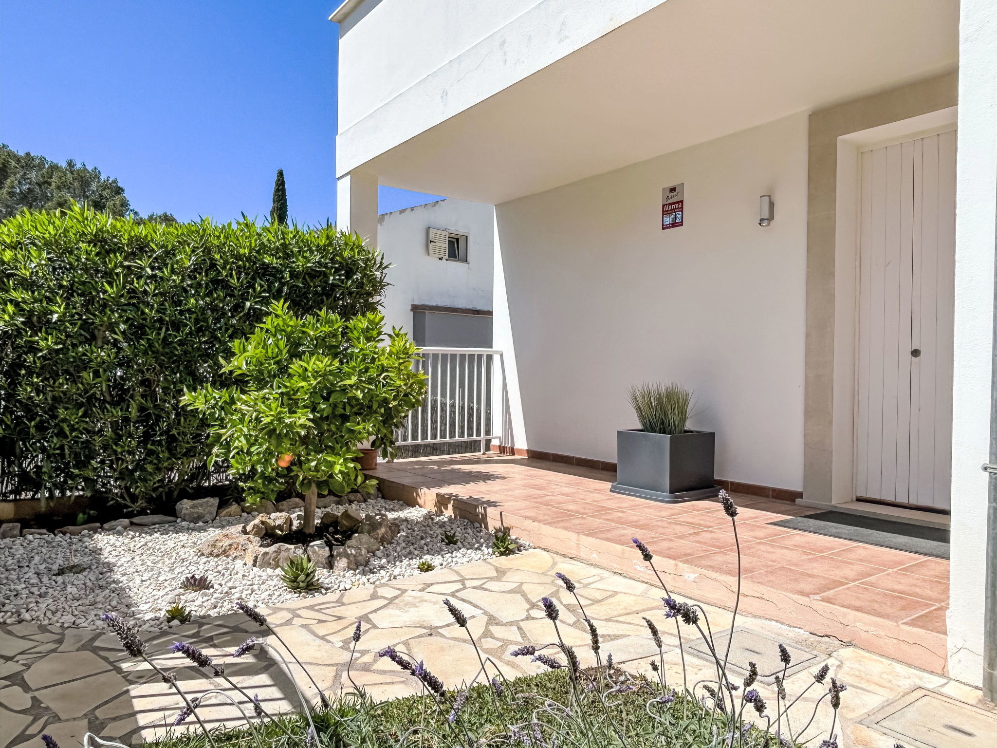 Villa Paradiso - billede 4