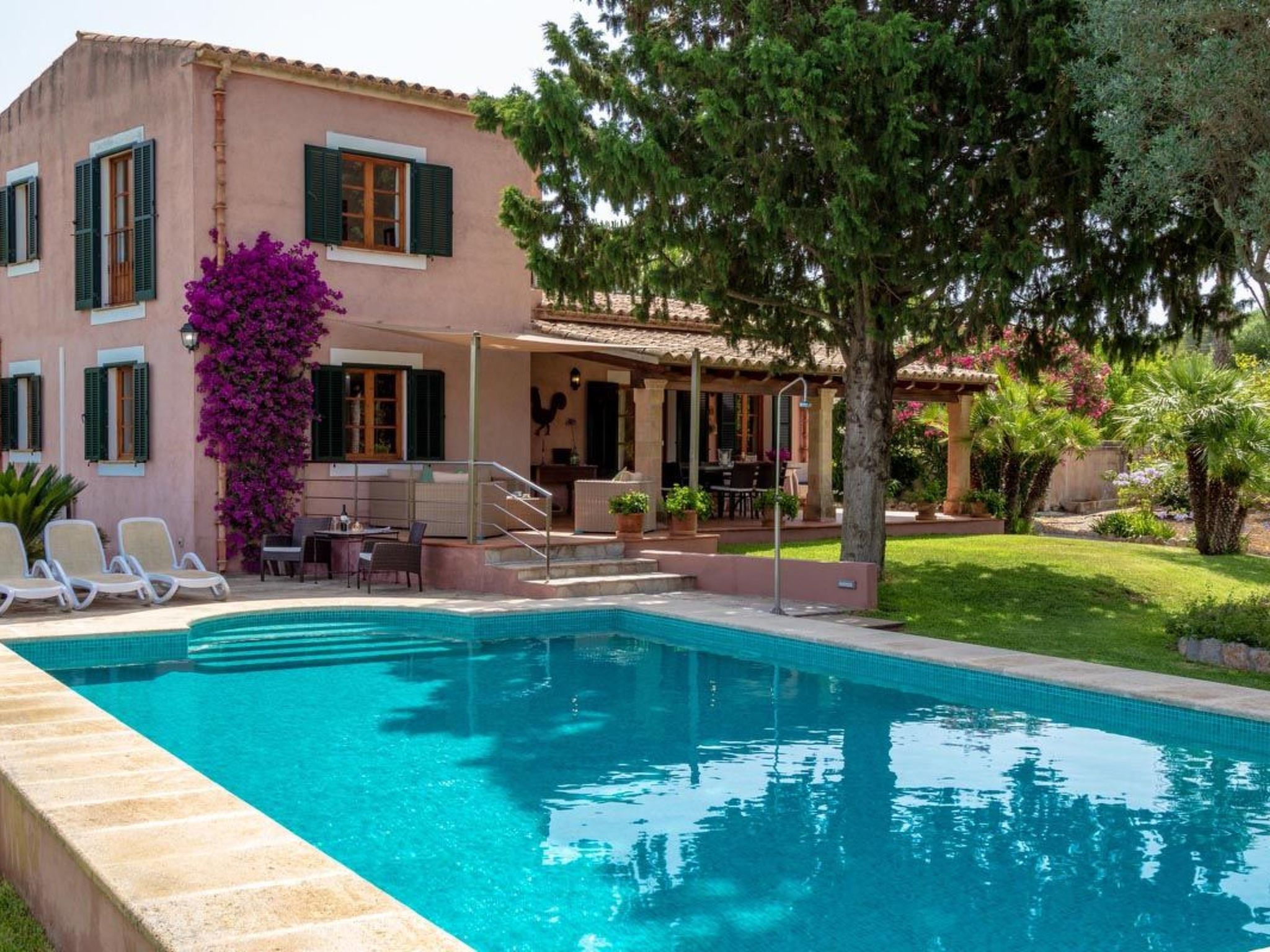 Haus Alzina, Alcúdia - billede 2