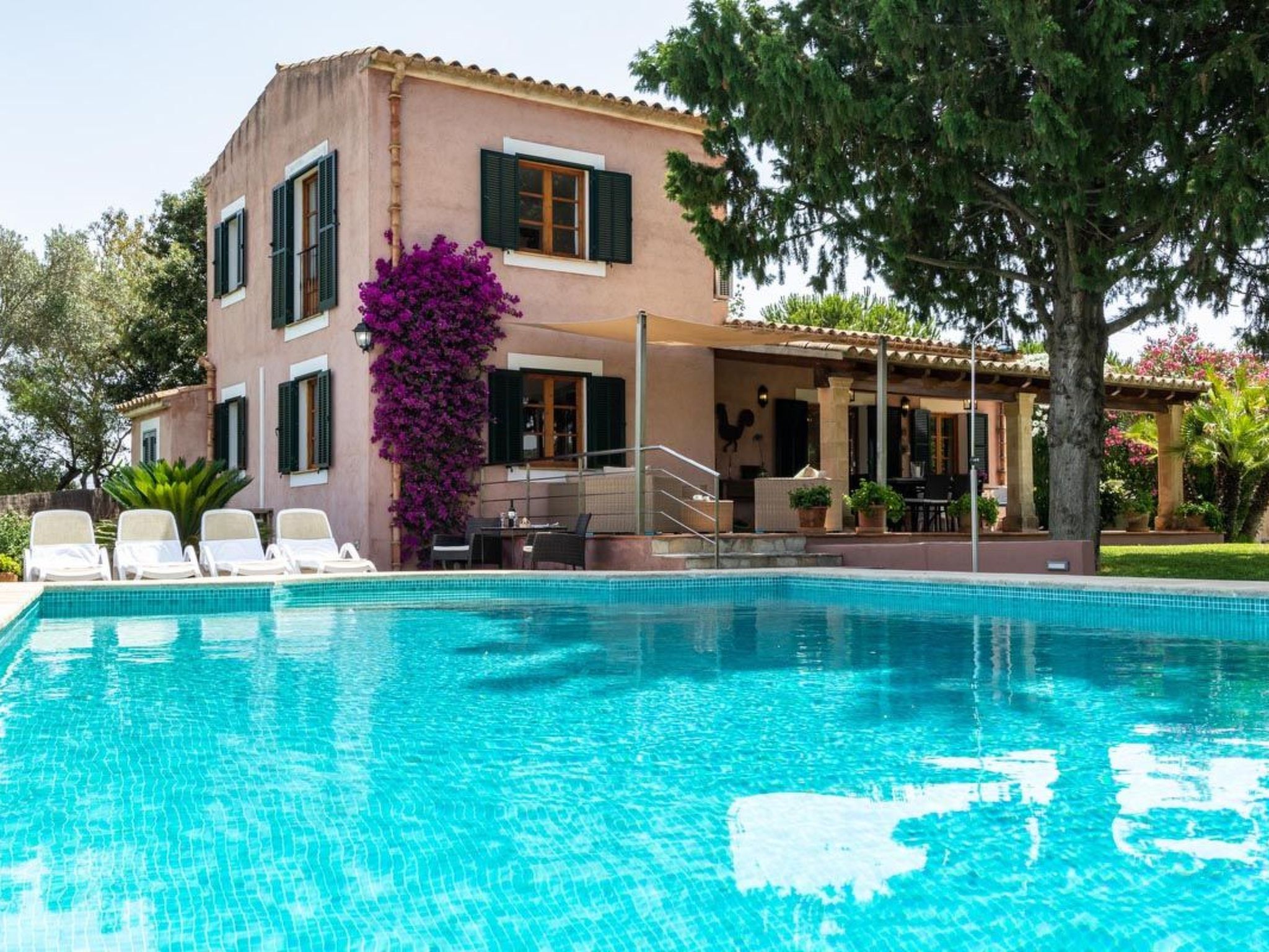 Haus Alzina, Alcúdia – billede 5
