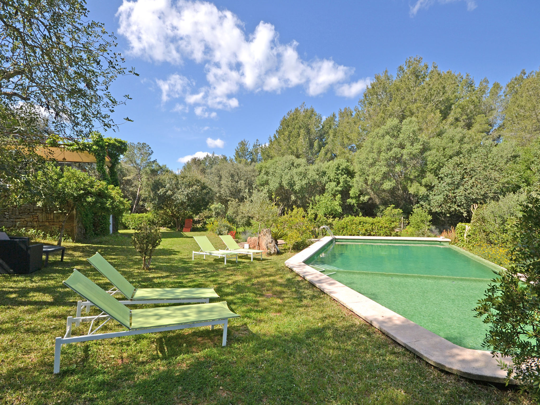 Spiros &quot-Camp Roig&quot-