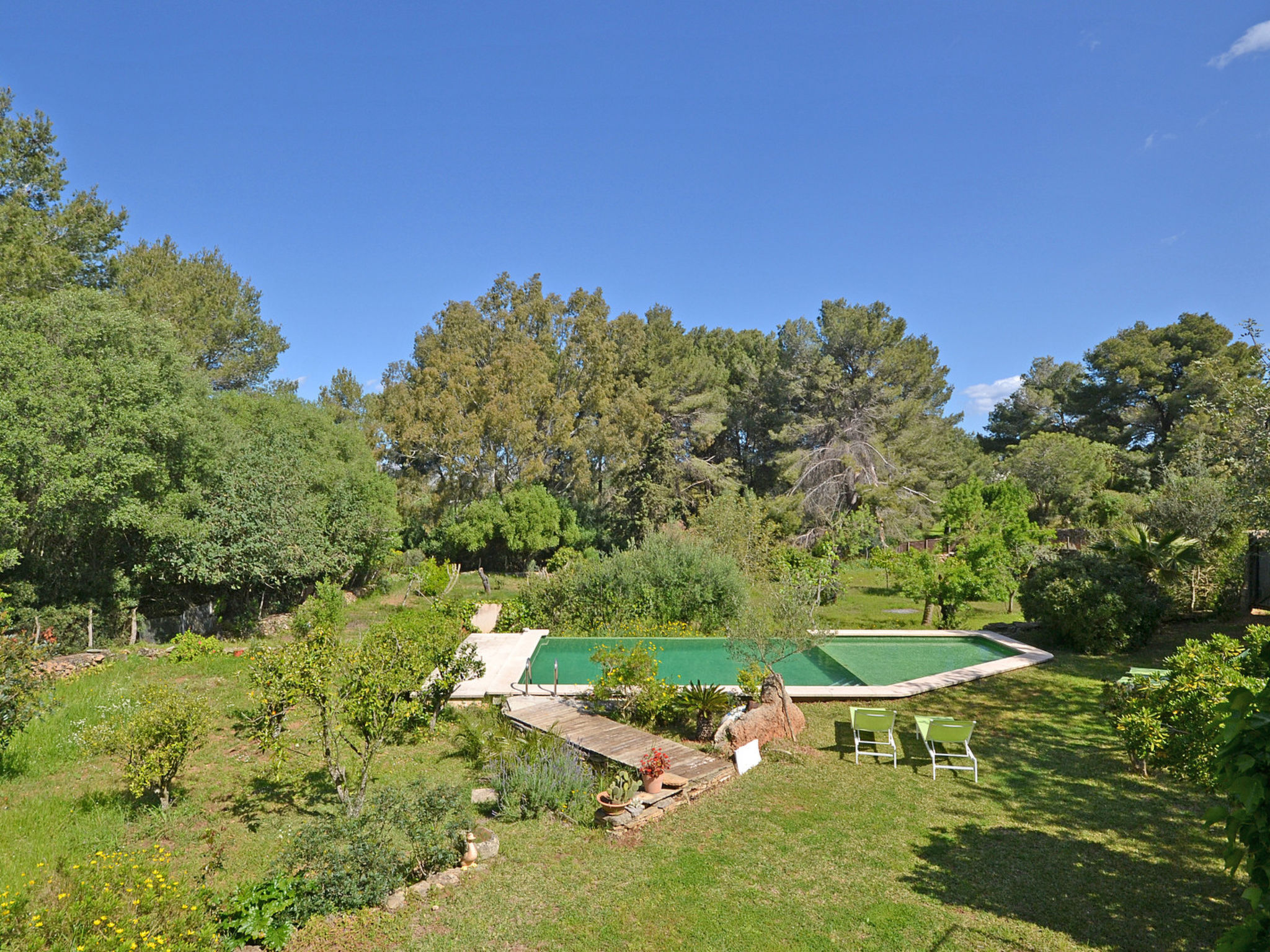 Spiros &quot-Camp Roig&quot- - billede 3