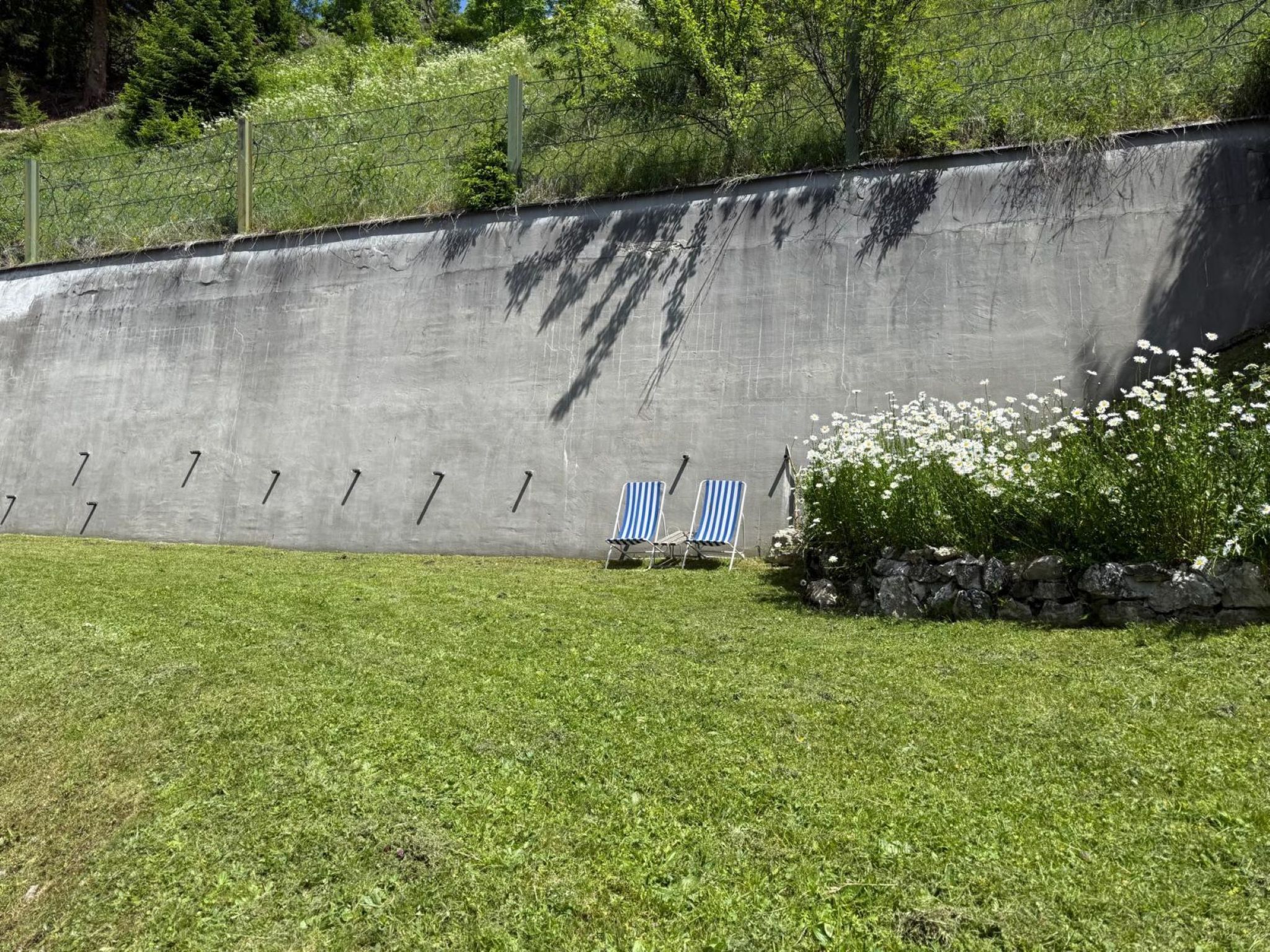 Salin – billede 5