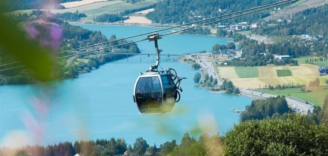 FAVN CHALET 29C - billede 2