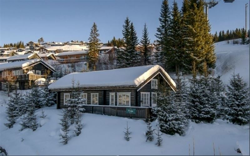 HAFJELL FJELLANDSBY 100 - billede 1