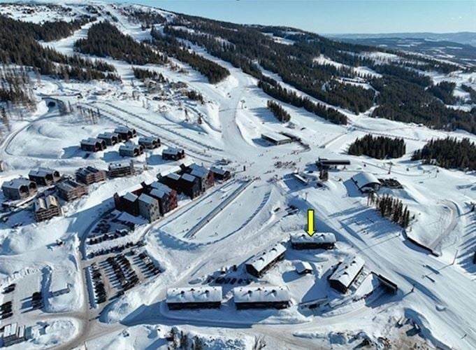 MOSETERTOPPEN BACKYARD 90C - billede 2