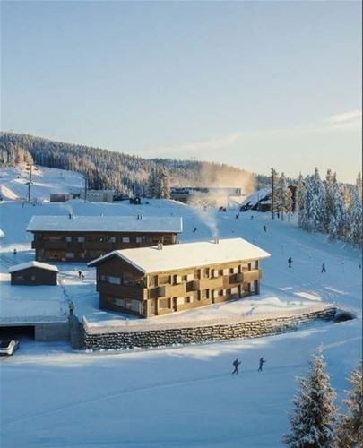 MOSETERTOPPEN BACKYARD 98D - billede 2