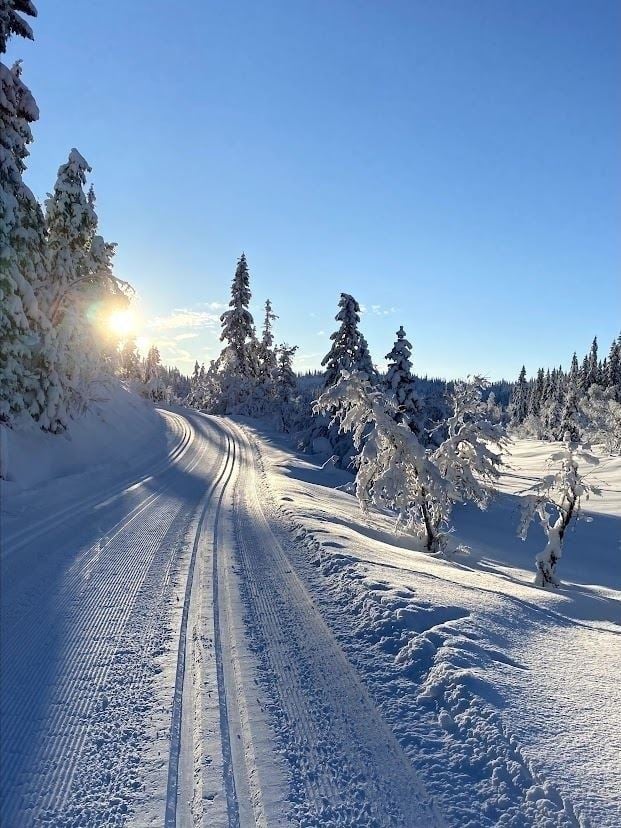 LAFTESTØLEN 17 - billede 2