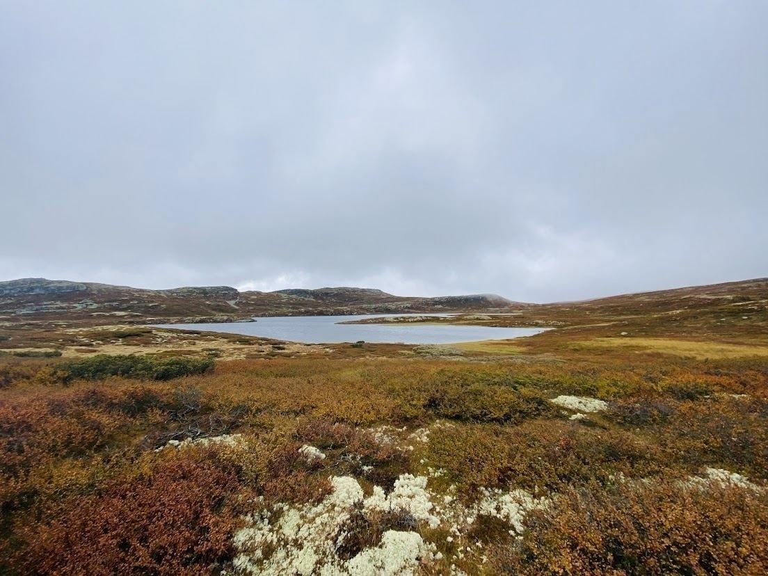 LAFTESTØLEN 17 – billede 5