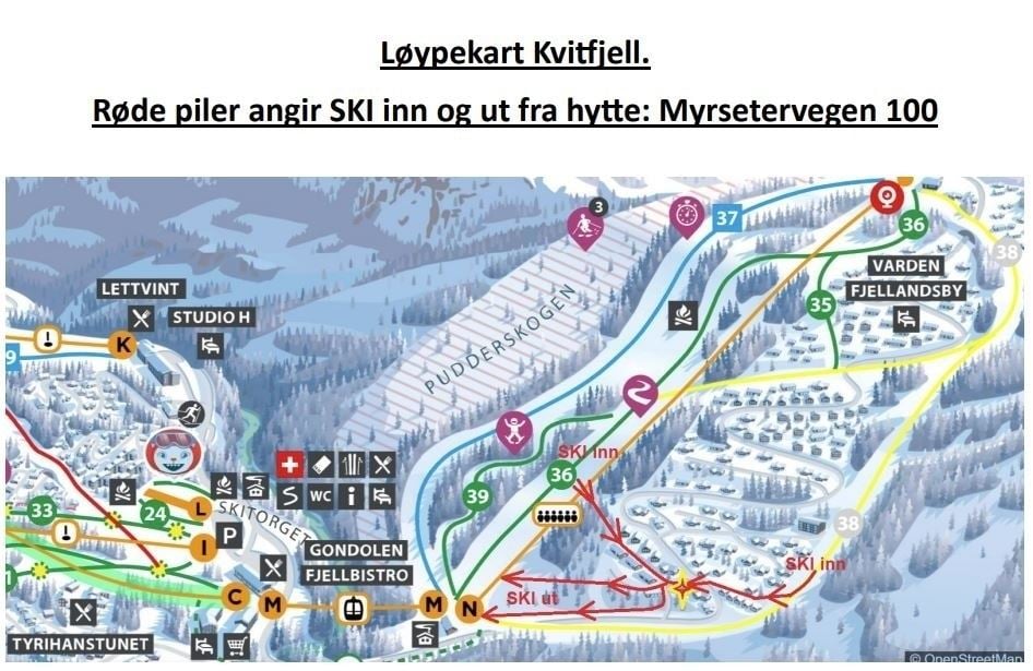MYRSETERVEGEN 100 – billede 2