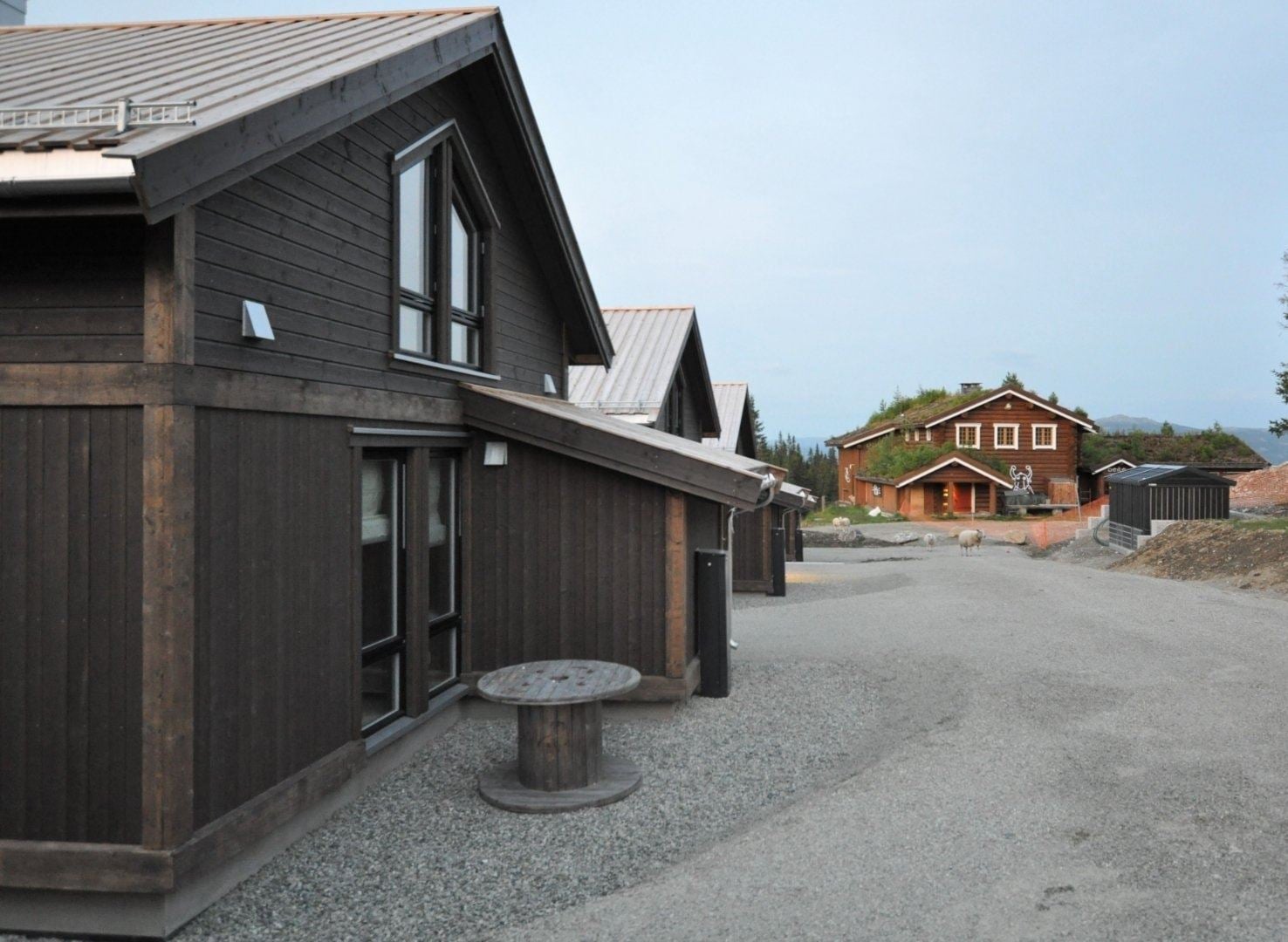 KVITFJELL ALPINGREND 8A - billede 4