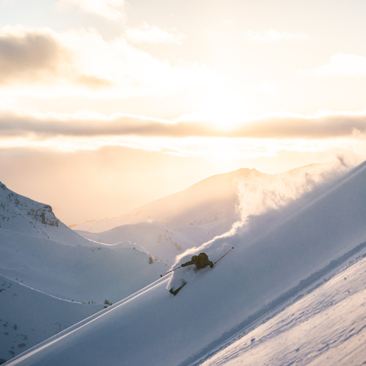 En guide till pudersnö