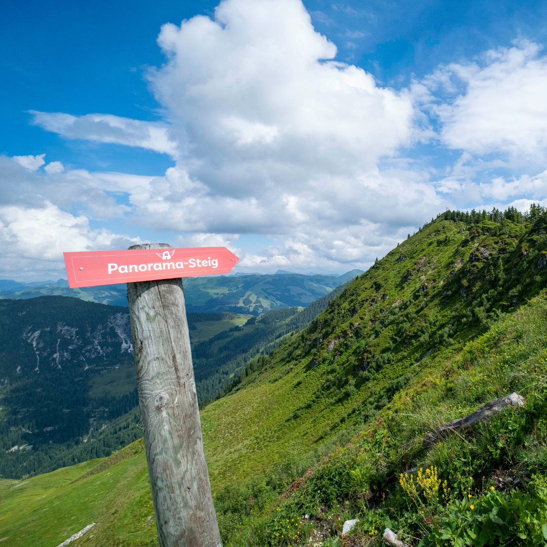Et træskilt med "Panorama-Steig" i hvid tekst peger mod en frodig grøn bjergskråning under en delvist overskyet blå himmel, der fanger essensen af Sommerferie i Westendorf. Landskabet byder på en blanding af græsklædt terræn og fjerne bjerge.