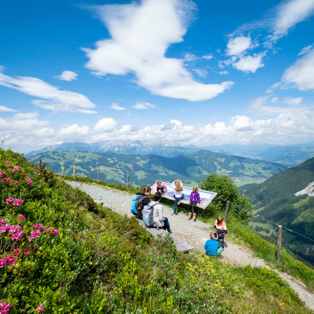 En naturskøn udsigt over bjergene under en Sommerferie i Westendorf, hvor en gruppe vandrere holder en pause ved et stiskilt. Pink blomster og grønt omkranser stien under blå himmel med spredte skyer, mens vidtstrakte dale og bjerge strækker sig i det fjerne.