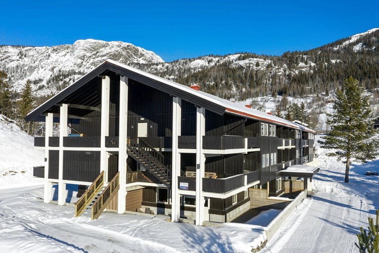 Storehorn Apartment