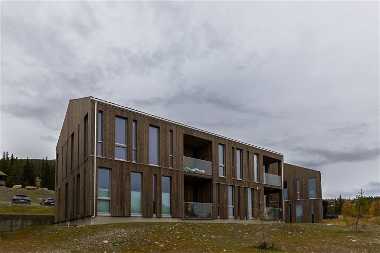 Segelstadeterlia 6F