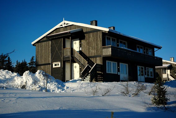 Fjellrypa