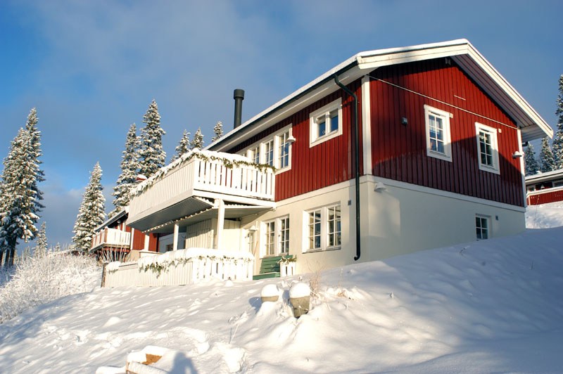 Mården