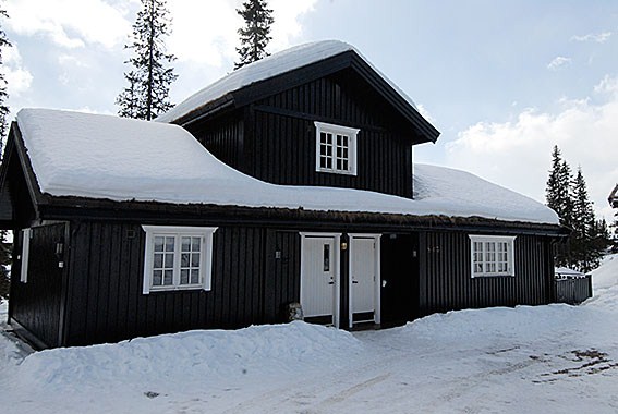 Håvi Hyttegrend