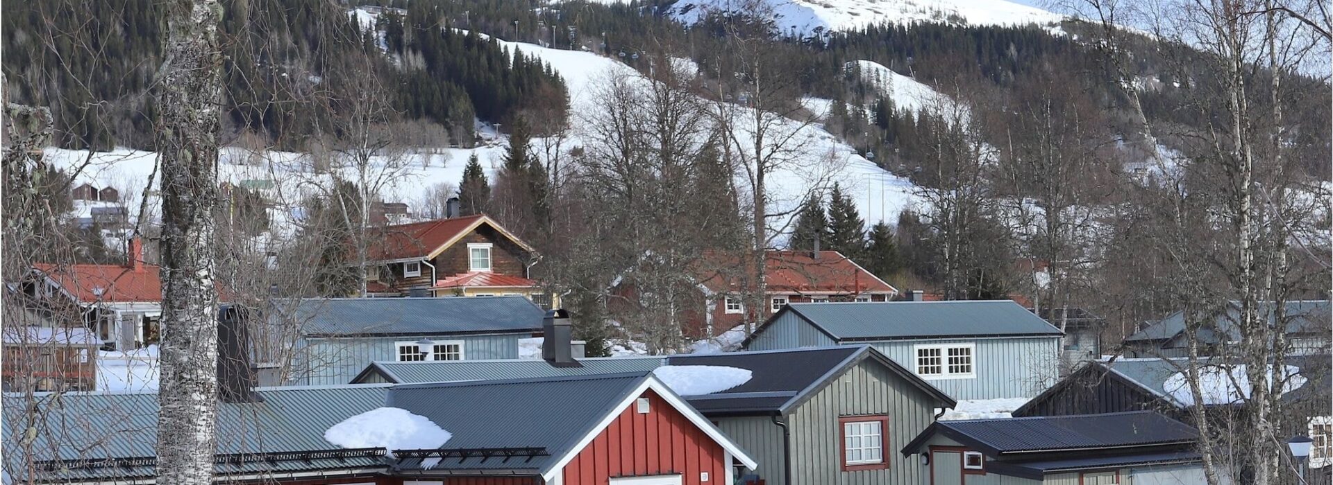 Forsa Fjällby
