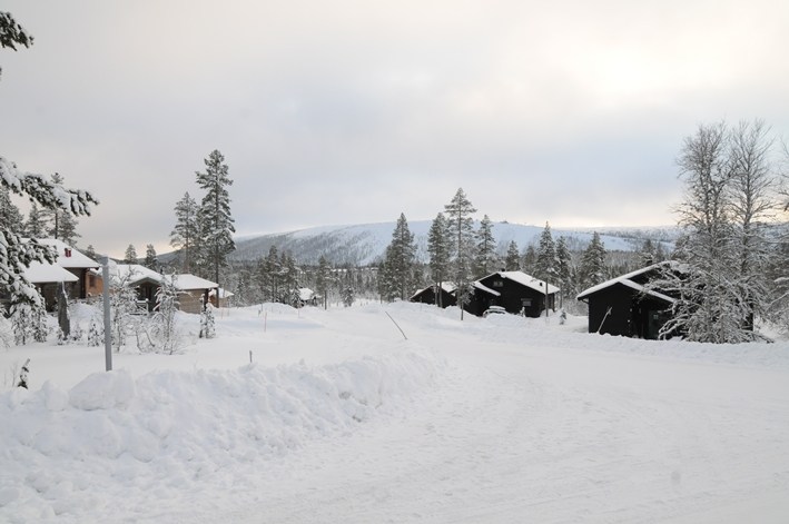 Salbäcksheden