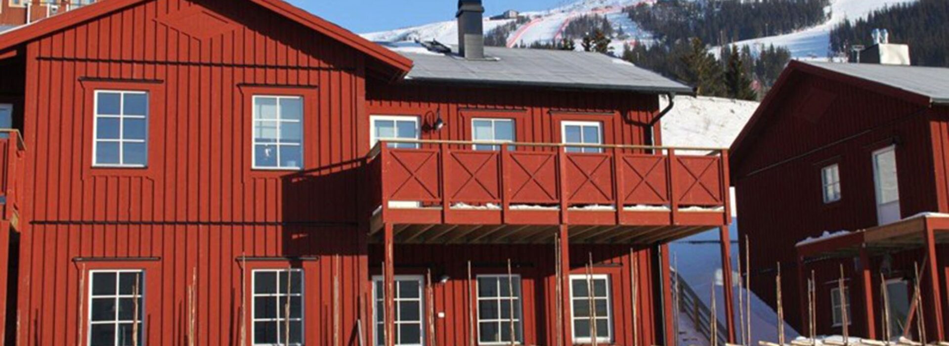 Fjällfoten