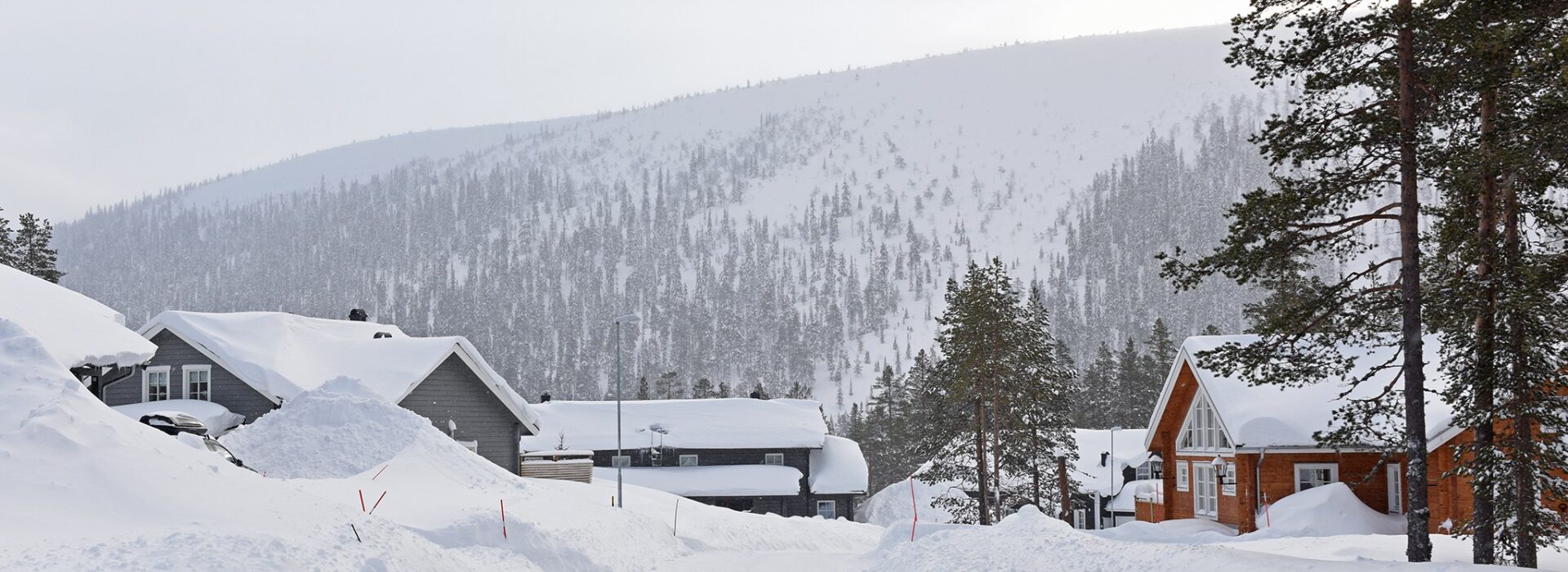 Stjärnbyn