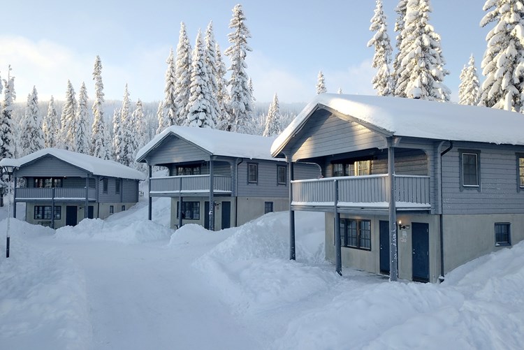 Blue Village