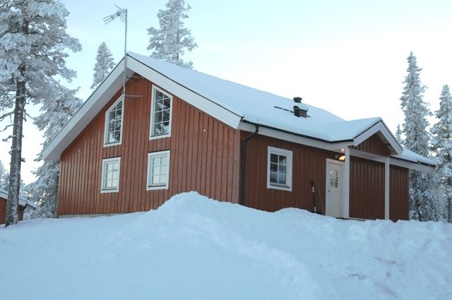 Damkölen