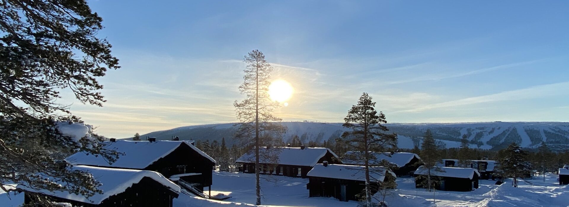 Hills Orrliden