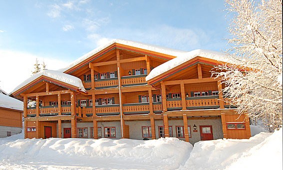 Solbjørnlia