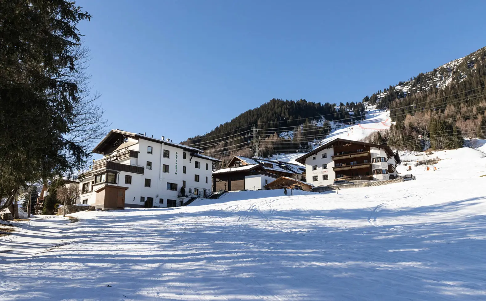 Pension Alpenheim – billede 2