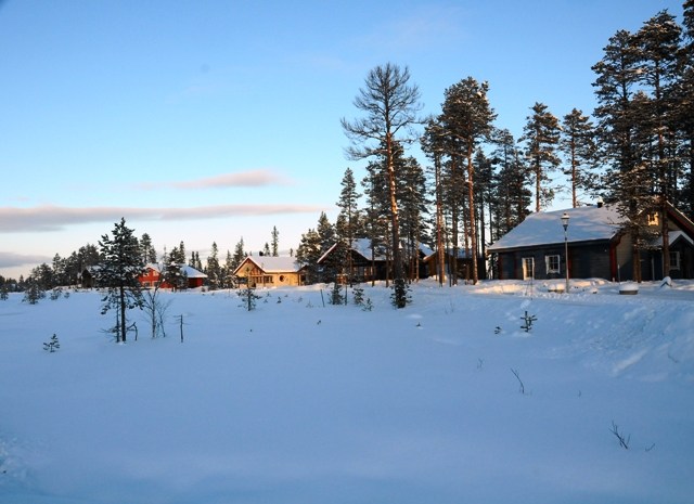 Dammkölen