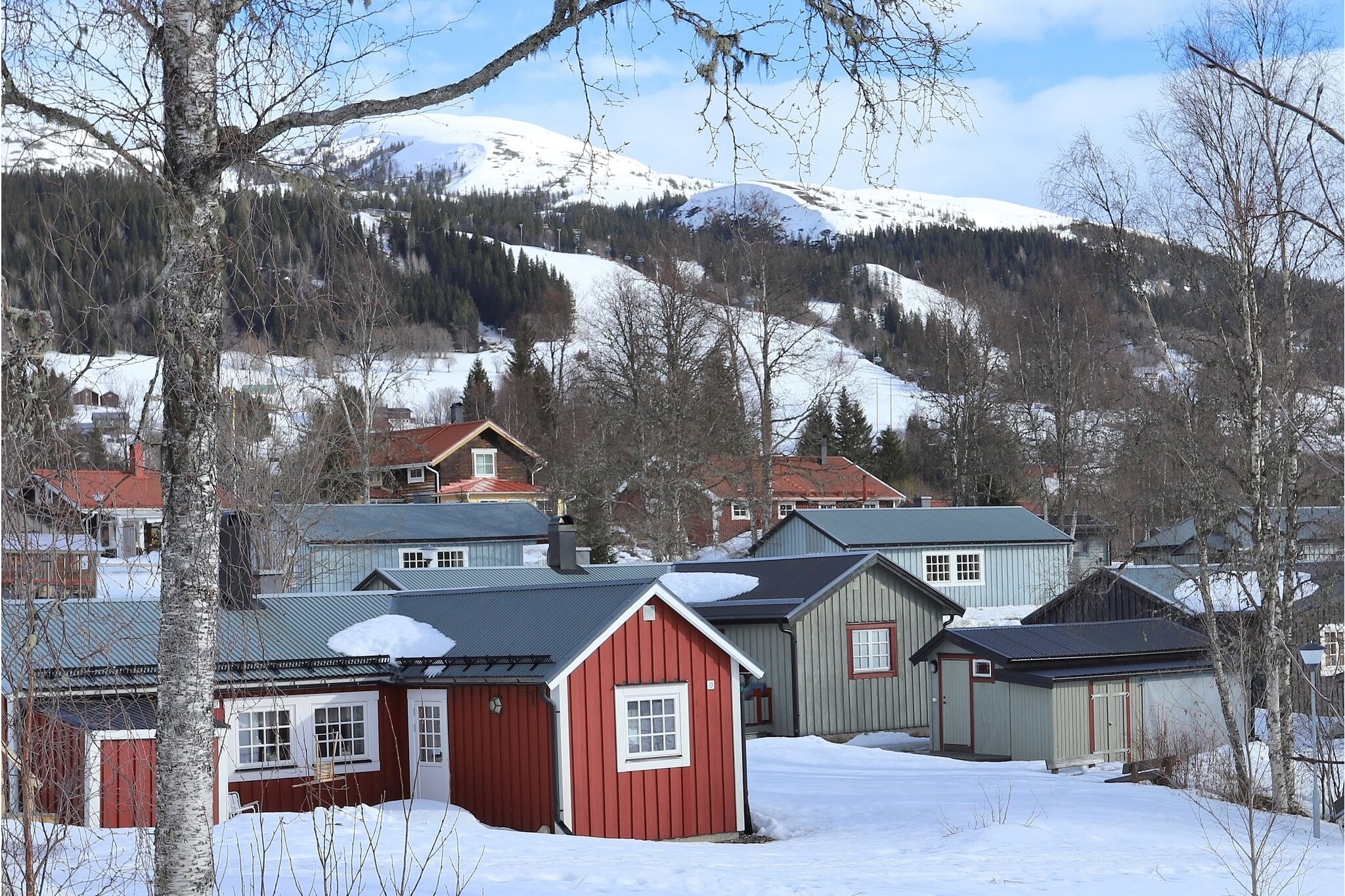 Forsa Mountain Village