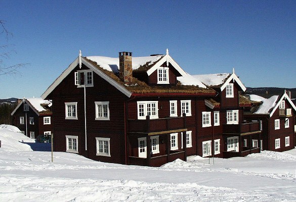 Knettlia