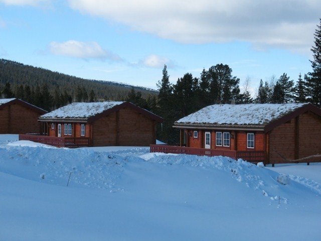 Olar-böjen