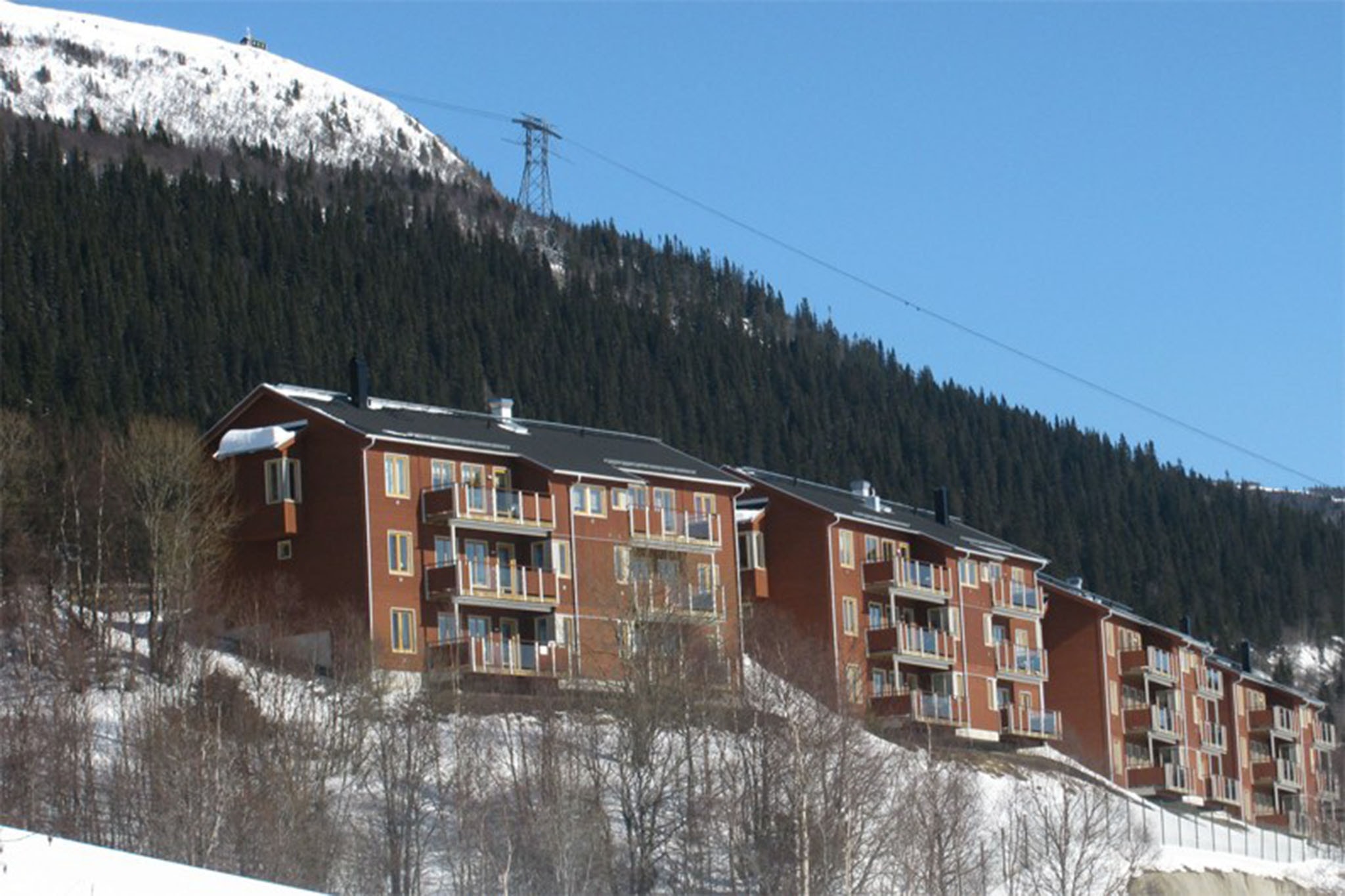 Olympiska käkar