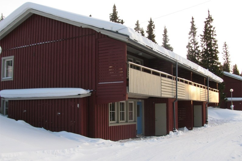 Renbjörn