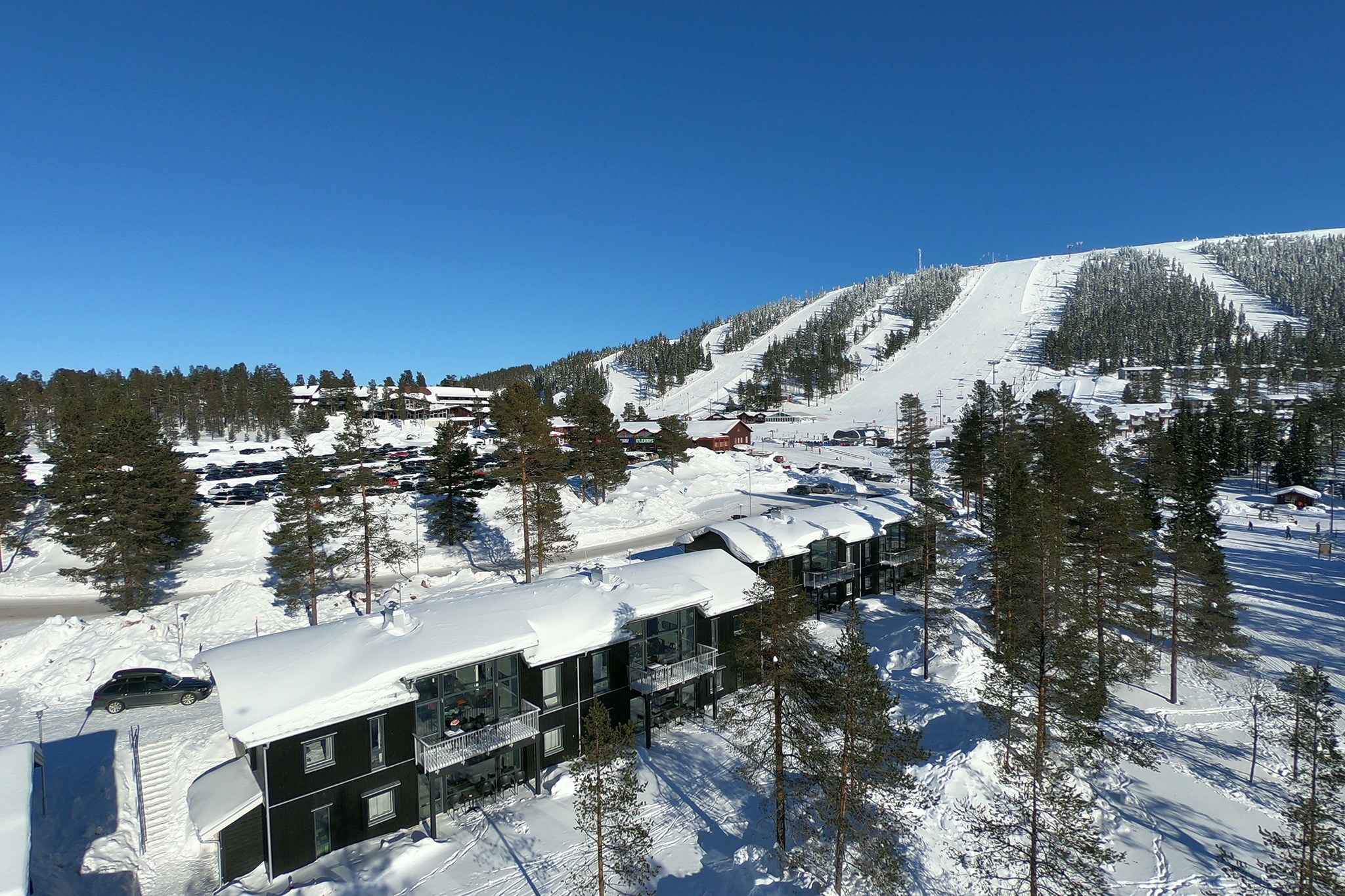 Ski Apartments Hundfjället