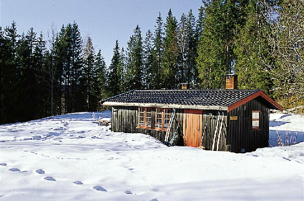 Trysil Hyttegrend