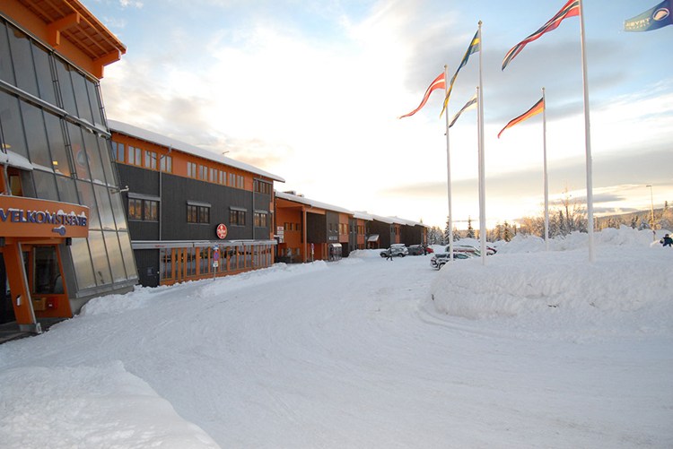 Välkommen Trädgård