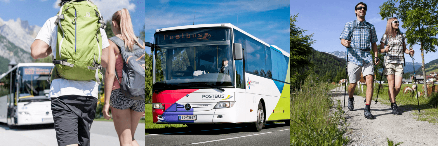 WANDERBUS