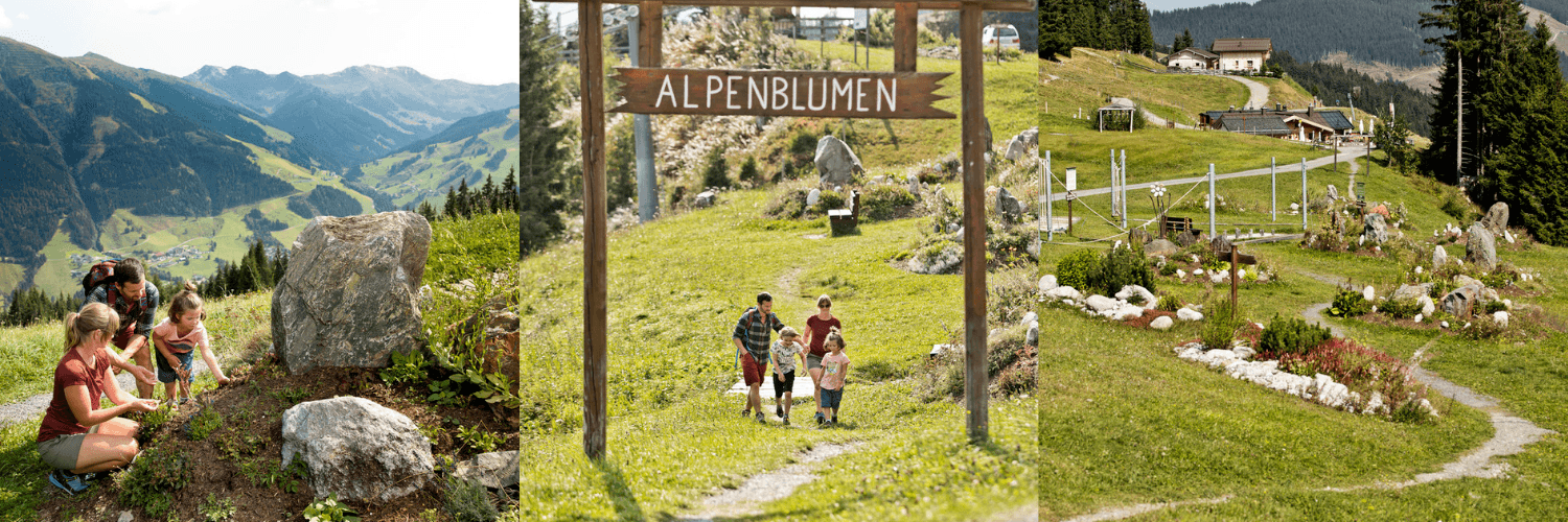 HEALKRÄUTERWEG
