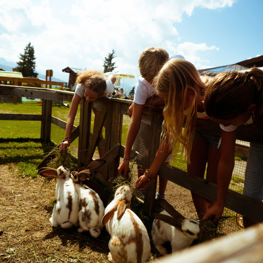 Under sommarlovet i Westendorf lutar sig fyra barn över ett trästaket och matar flera stora, vita och bruna kaniner med hö i en solig utomhusmiljö med gräs och träd.