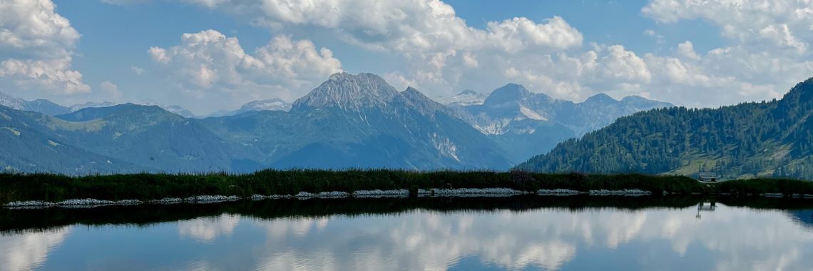 Utsikt från Grafenbergsjön på sommaren