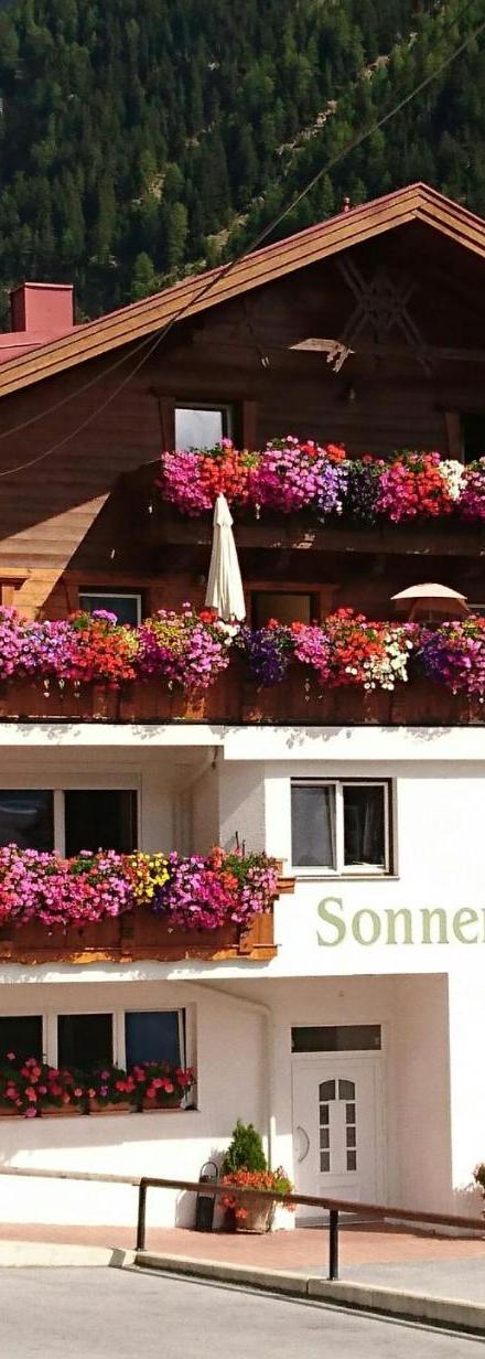 Pension Sonnenheim – billede 2