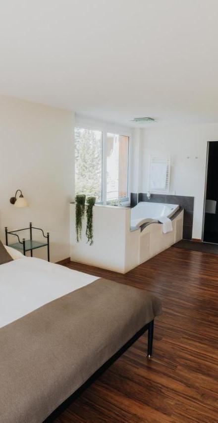 Hotel Schweizerhof Gourmet & SPA – billede 2
