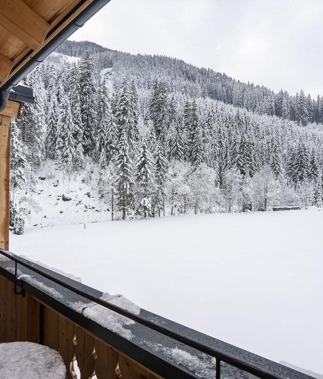 Chalet with Sauna And Jokercard in Summer – billede 6