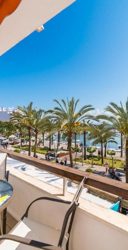 Ideal Property Mallorca - Mimosa – billede 4